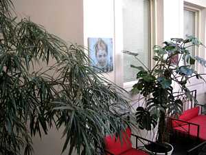 Pohled do výstavy Pavla Švece