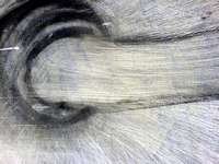 17. srpen 2006, Brno, výstavy