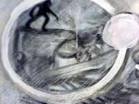 17. srpen 2006, Brno, výstavy