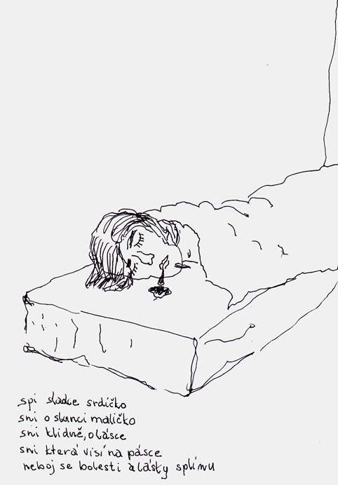 Výstava na Radikále z 24.5.2004: Daily Hero: Sen