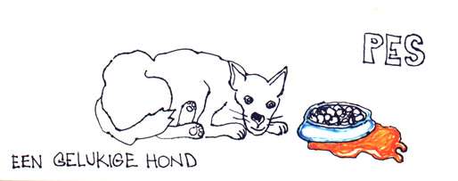 Výstava na Radikále z 24.5.2004: Daily Hero: Šťastný pes