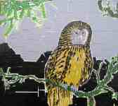 Petr Kožíšek: Sovy a klece, barevné izolepy