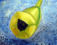 Martina Lupačová Švarcová: Banán