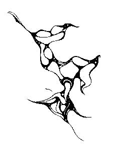 Výstava na Radikále z 30.6.2005: Václav Svoboda