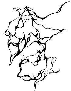 Výstava na Radikále z 30.6.2005: Václav Svoboda